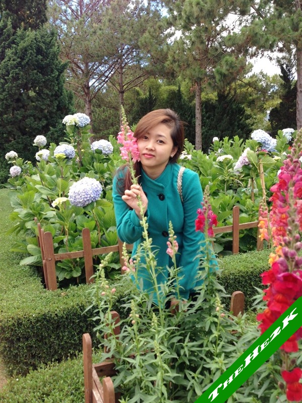 24 xuân sang