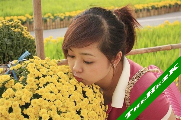 24 xuân sang